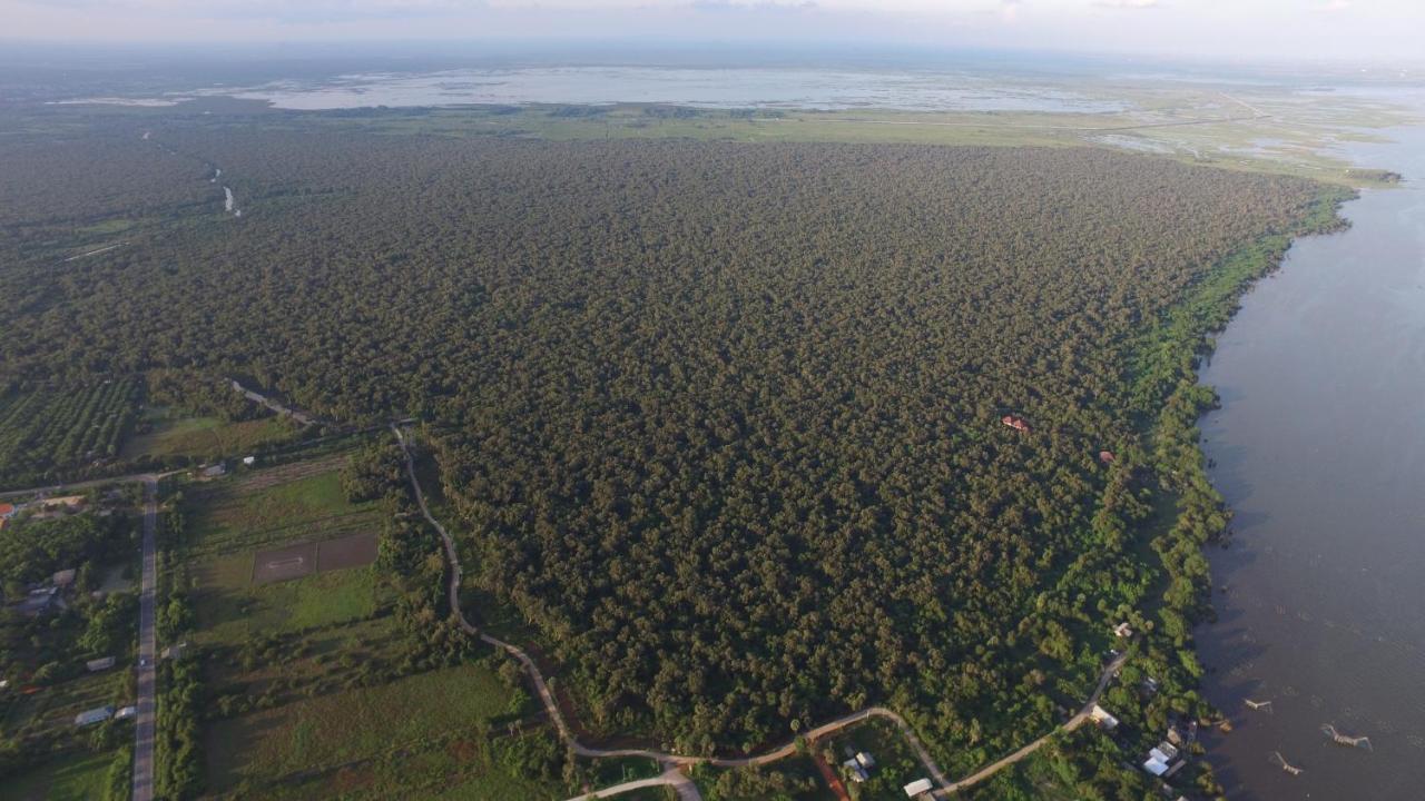 Wetlandcamp บ้านชายเล Phatthalung Eksteriør bilde